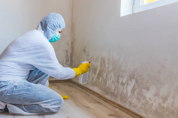 Mold Remediation specialist working in Spring Lake